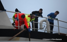 gadus12052014-28 gadus12052014-28