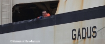 gadus15032014-26 gadus15032014-26