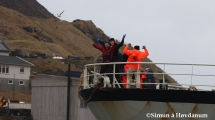 gadus15032014-4 gadus15032014-4
